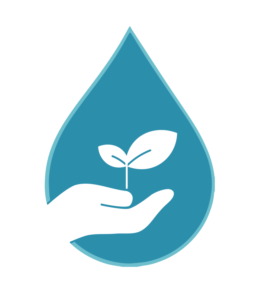 Exploring Hydroponics