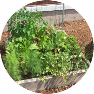 square foot gardening