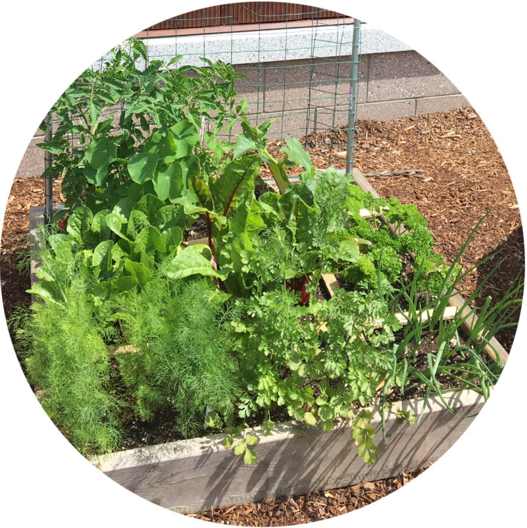 square foot gardening