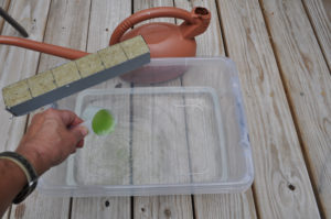 seed starting hydroponics
