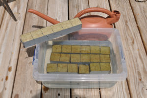 seed starting hydroponics