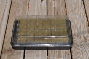 seed starting hydroponics
