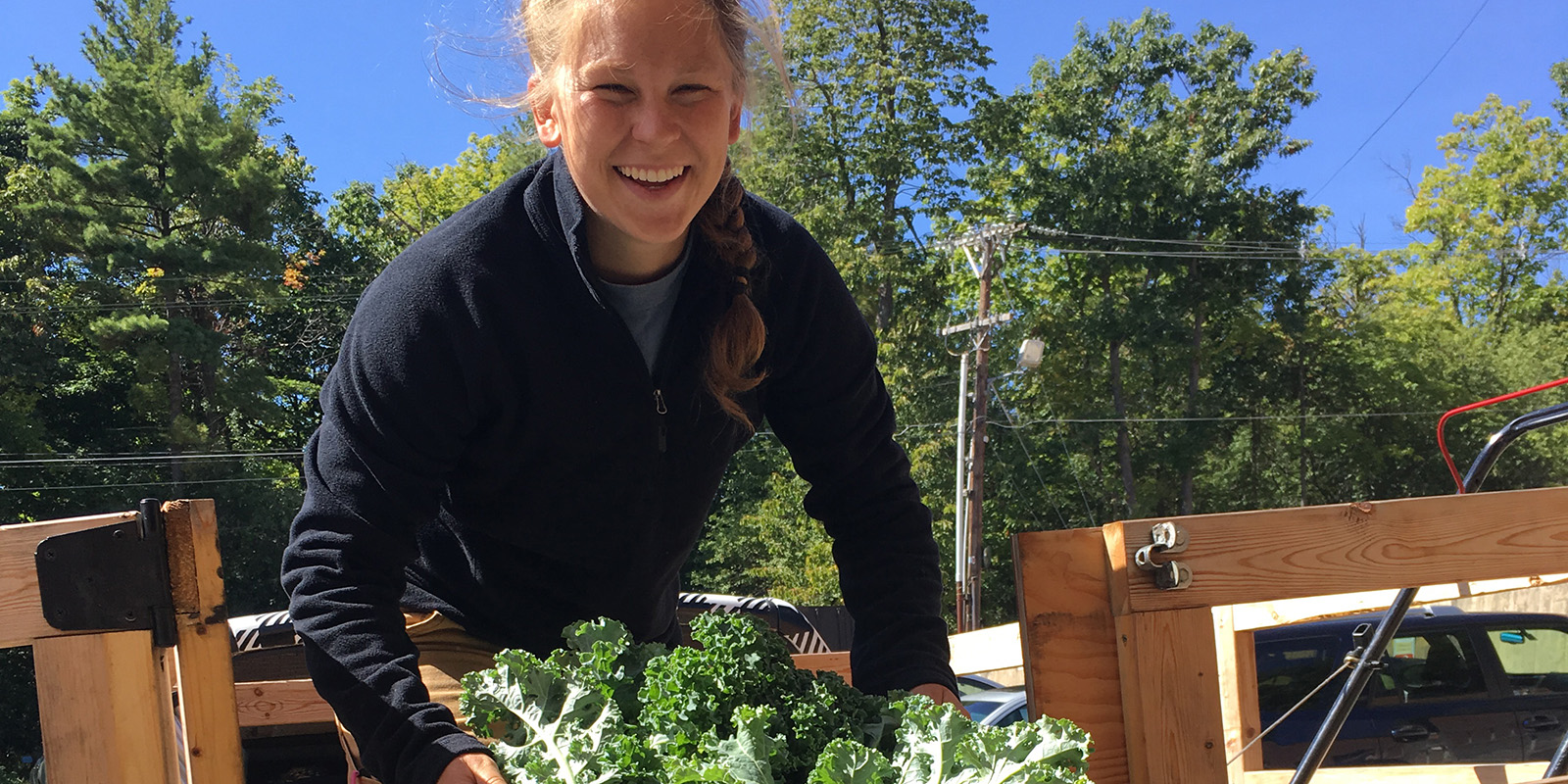 christine blog header Christine school garden tips