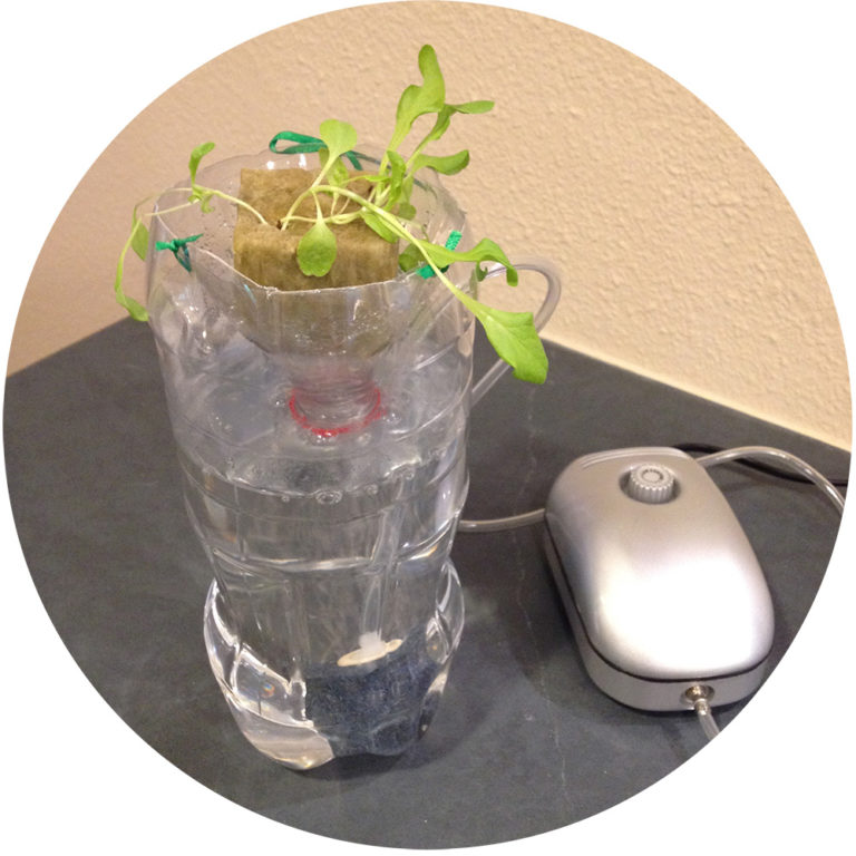 DIY Hydroponics - Simple home hydroponic systems