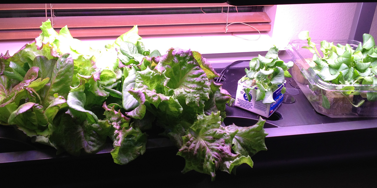 hydroponics blog header hydroponics pilot