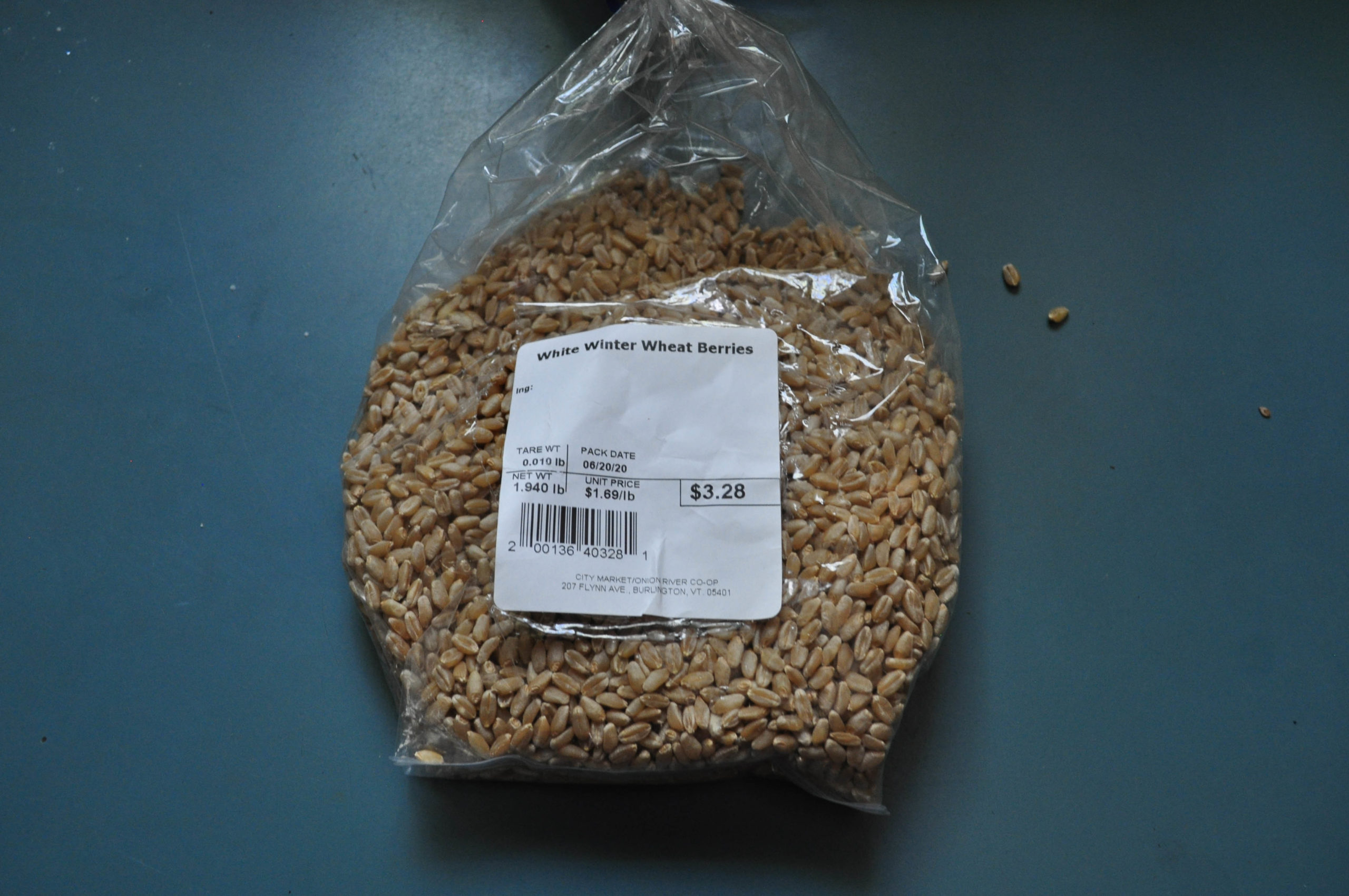 wheatgrass growing guide seeds KidsGardening