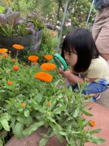 photo contest