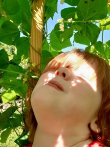 photo contest