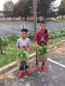 Youth Garden Grant