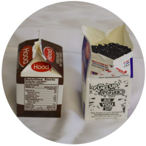 milk carton with soil to imitate landfill