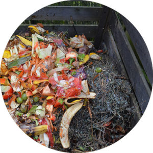 wooden compost bin with fresh kitchen scraps