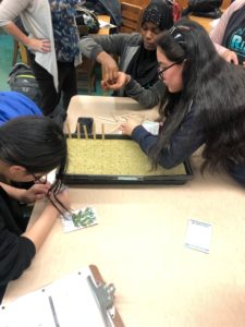 High school students in science class