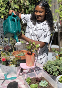 child watering succulents