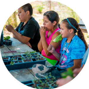 Three Oglala Lakota kids taste test items from a garden