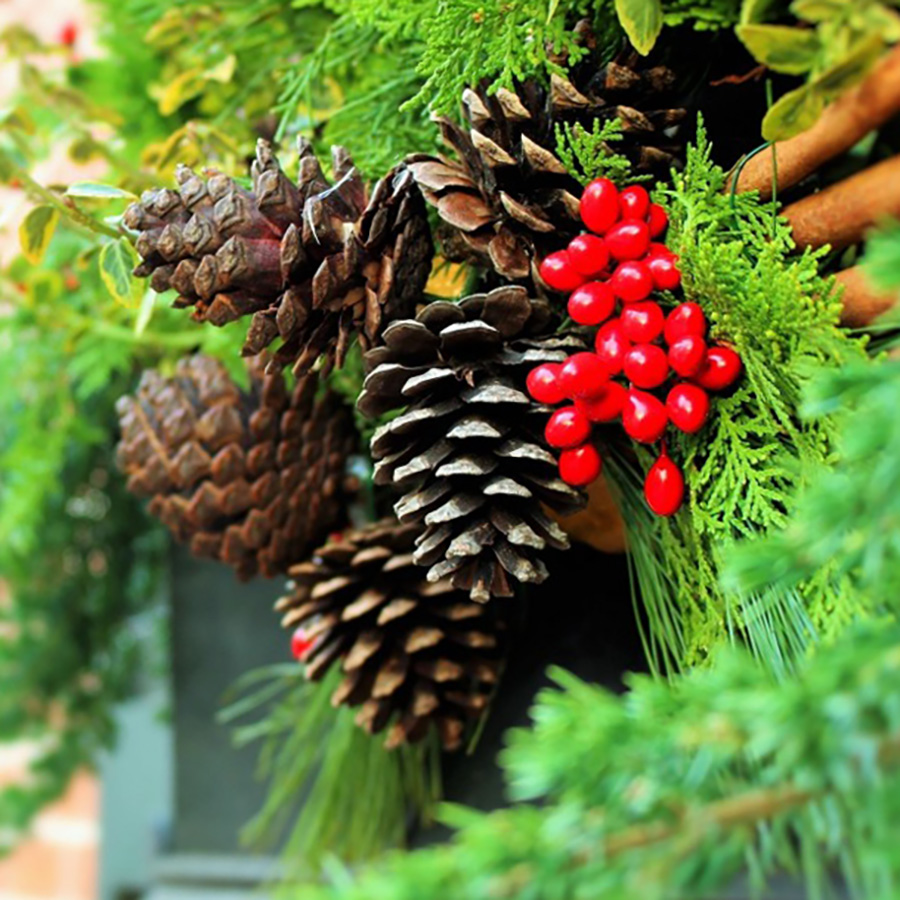 greenery brightens up indoor spaces