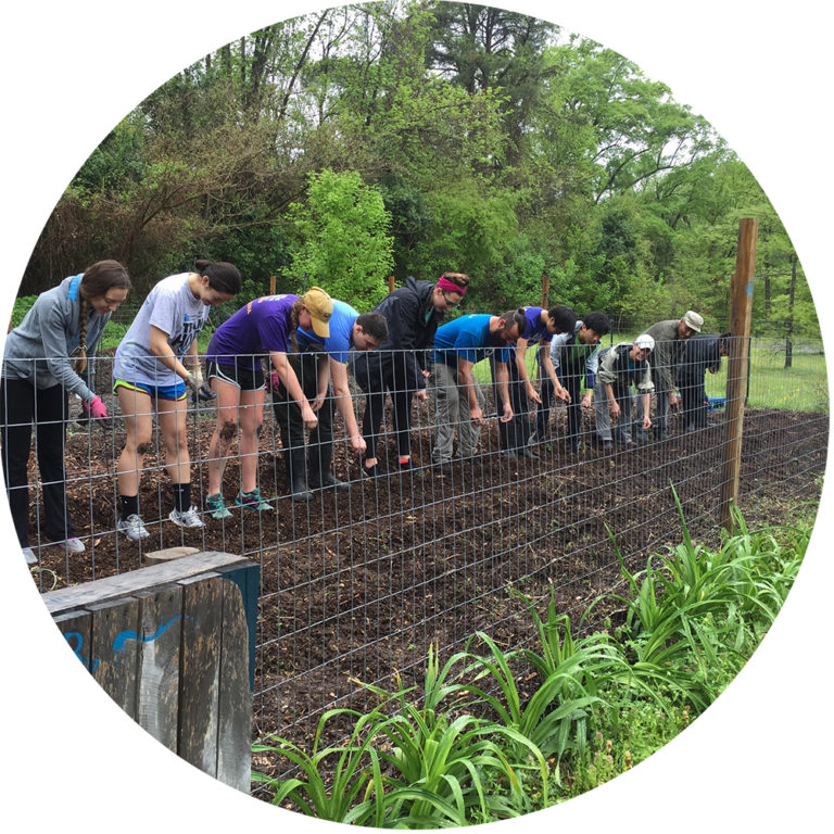 Teens and adults in a row, planting seeds