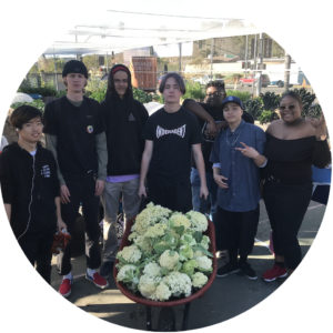 Teen students dressed in black shirts stand near a wheelbarrow full of cauliflower