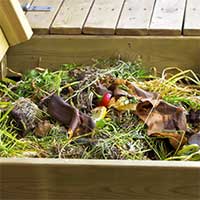 compost bin with various materials in it