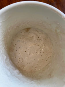 sourdough starter