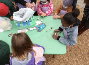Seed Ball Making