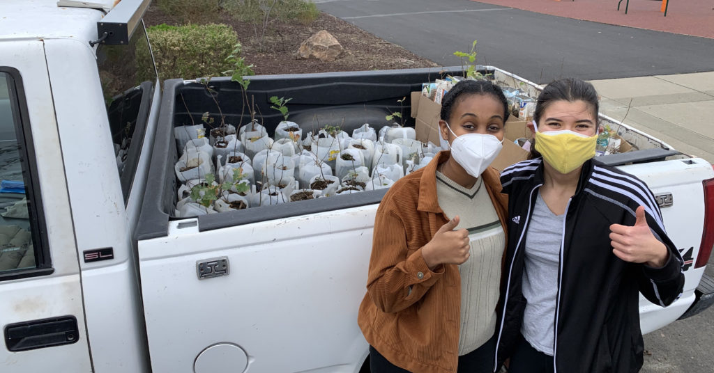 Project Climate Club members with oak tree seedlings in the cab of a truck.