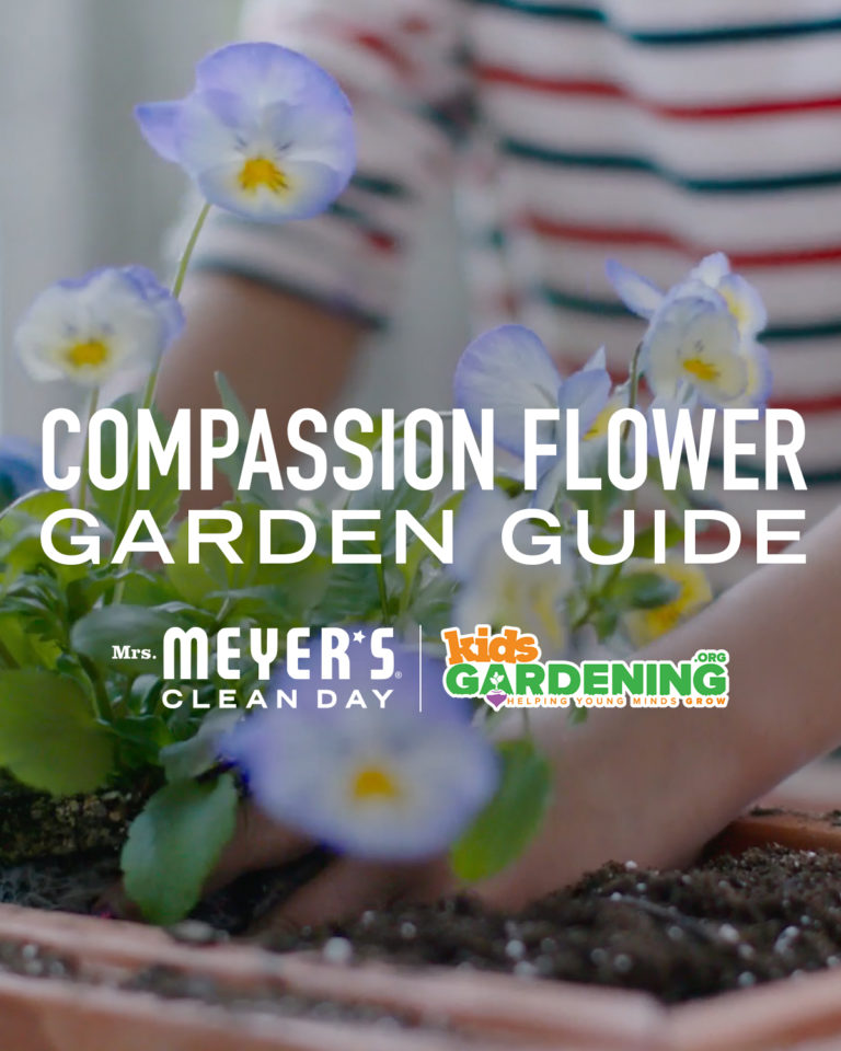 Compassion Flower Garden Guide words along with Mrs Meyers Clean Day and KidsGardening logos on top of a child's hands gardening