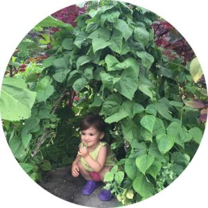Child peering out from a bean fort
