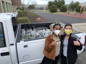 seedlings in truck