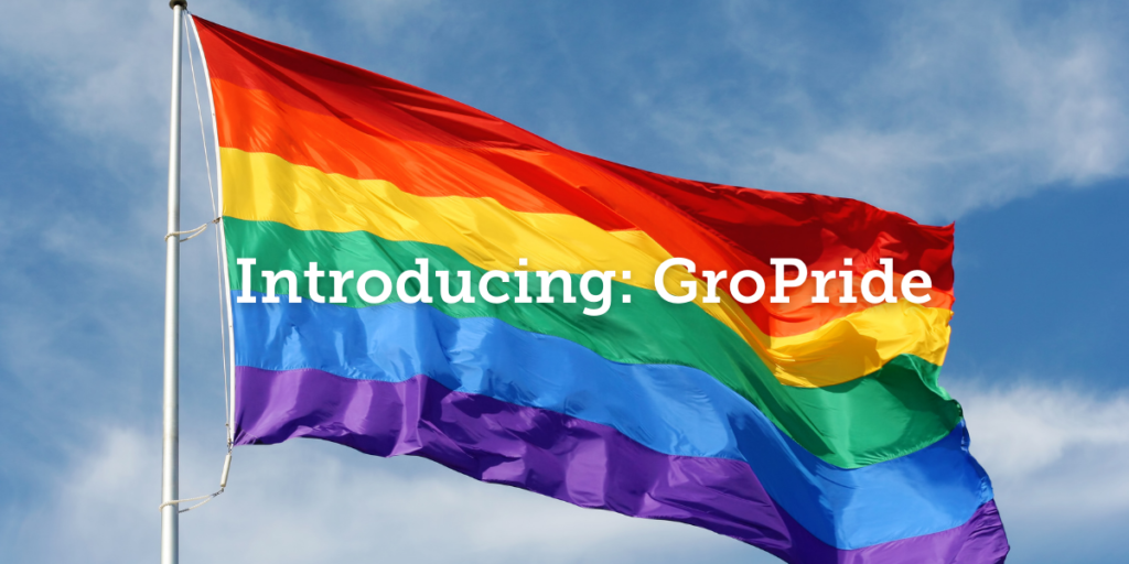 A rainbow Pride flag on a flagpole waves in front of a blue sky. The words "Introducing: GroPride" are placed on top of the flag.
