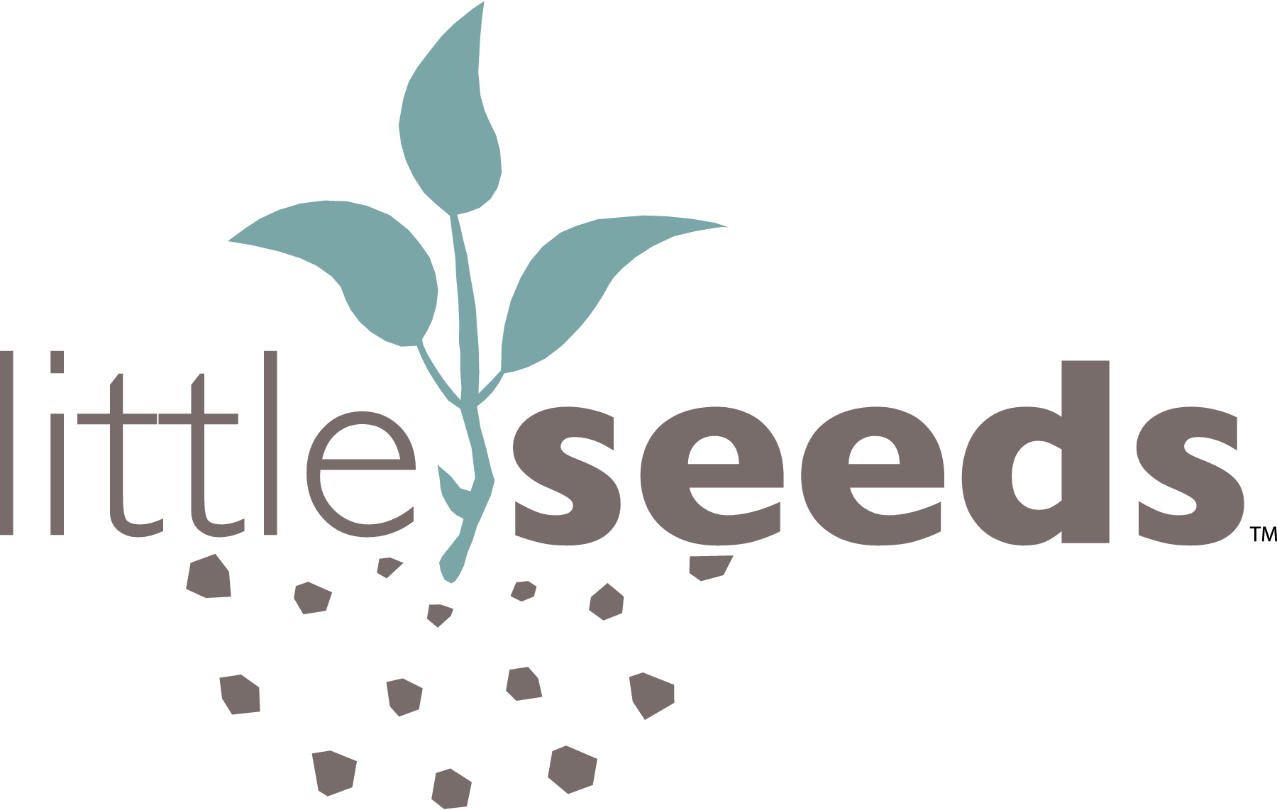 2021 Little Seeds Pollinator Pals Grant KidsGardening Resources