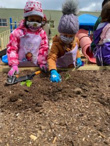 Young children wearing winter hats, face coverings, gardening gloves, and colorful coats and aprons plant seedlings in a raised bed.