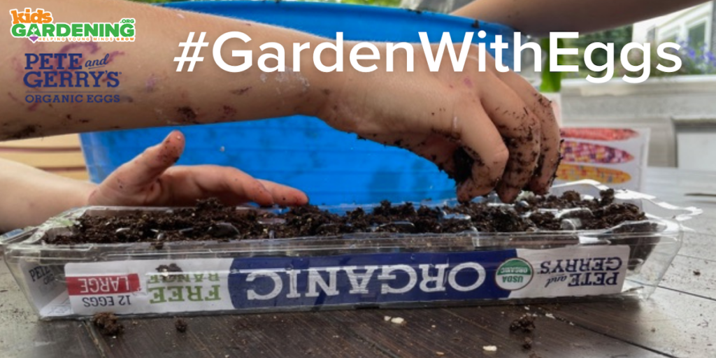 Child's hands planting seeds in plastic egg carton