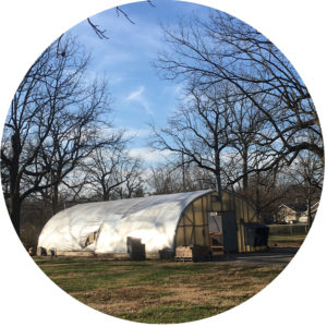 A greenhouse in a field, with bare trees and a blue sky.