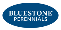 Bluestone