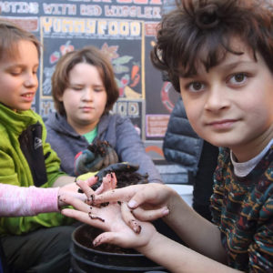 child holding a worm near a compost bin