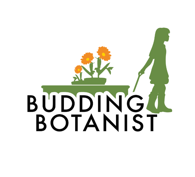 Budding Botanist Grant Kidsgardening