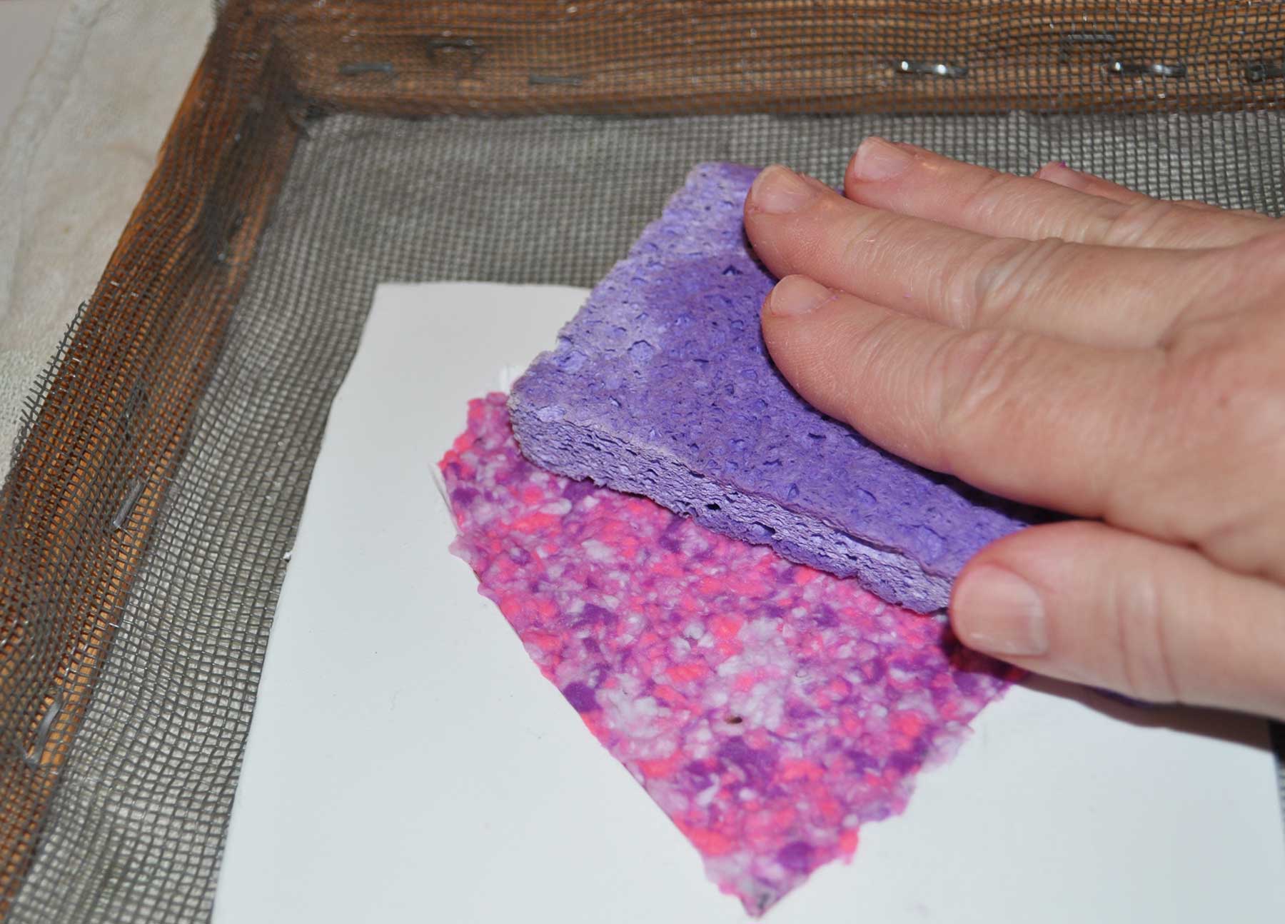 Pressing a sponge on the pulp heart to soak up extra water