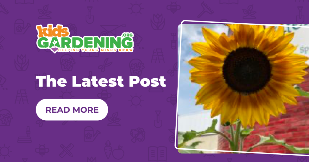 Kids Gardening – The Latest