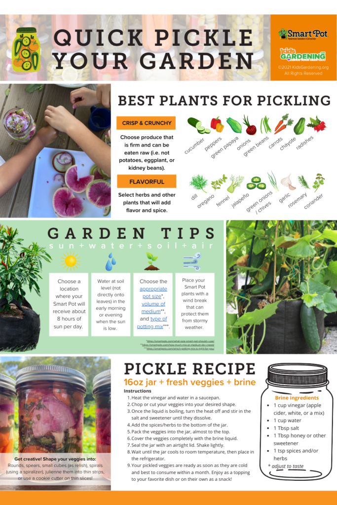 A graphic with images and words. Not all the words are legible, but Best Plants for Pickling, Garden Tips, and Pickle Recipe are.