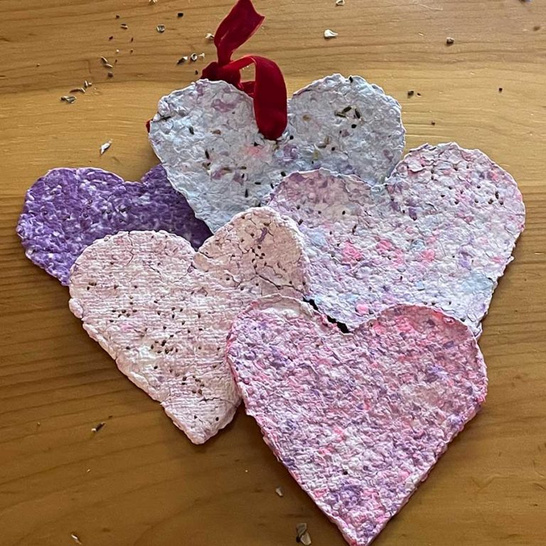 Several finished seed paper hearts, one hung with a red ribbon