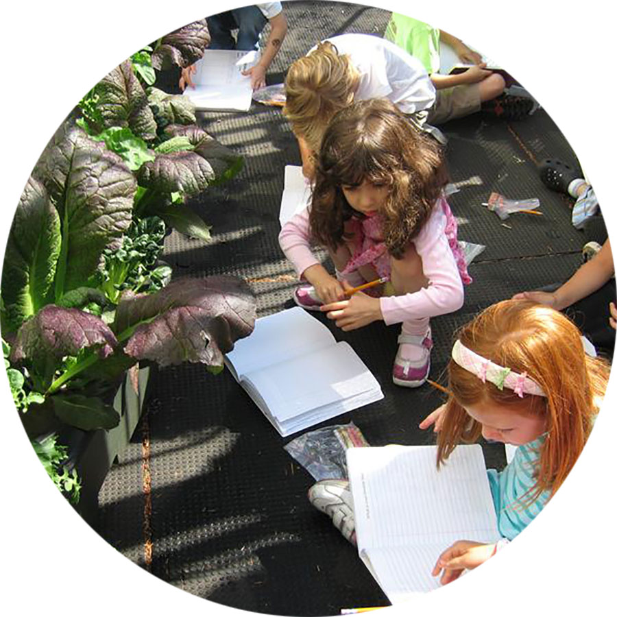 Three children on a rooftop garden, they are sitting down in front of plants with white notebooks open in front of them