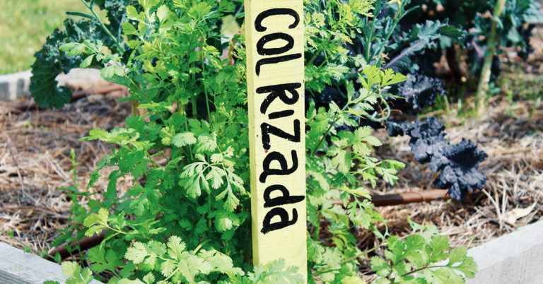 A vertical sign in a garden. The sign reads "Colrizada"