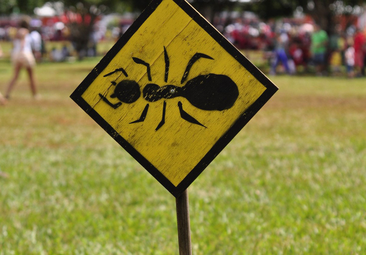 Warning sign with picture of ant