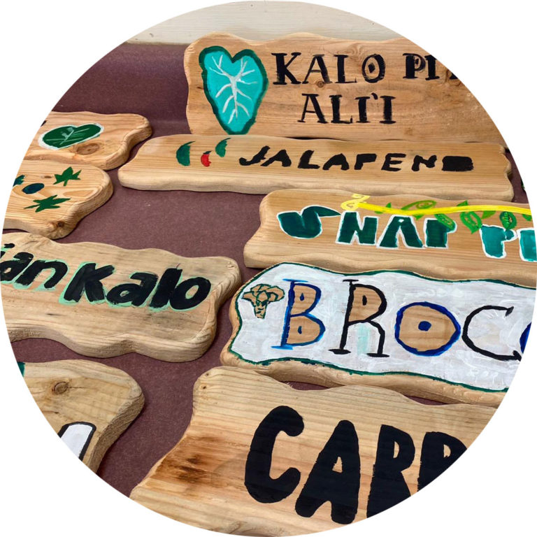 group of garden signs made from wood and painted with vegetable names in different languages