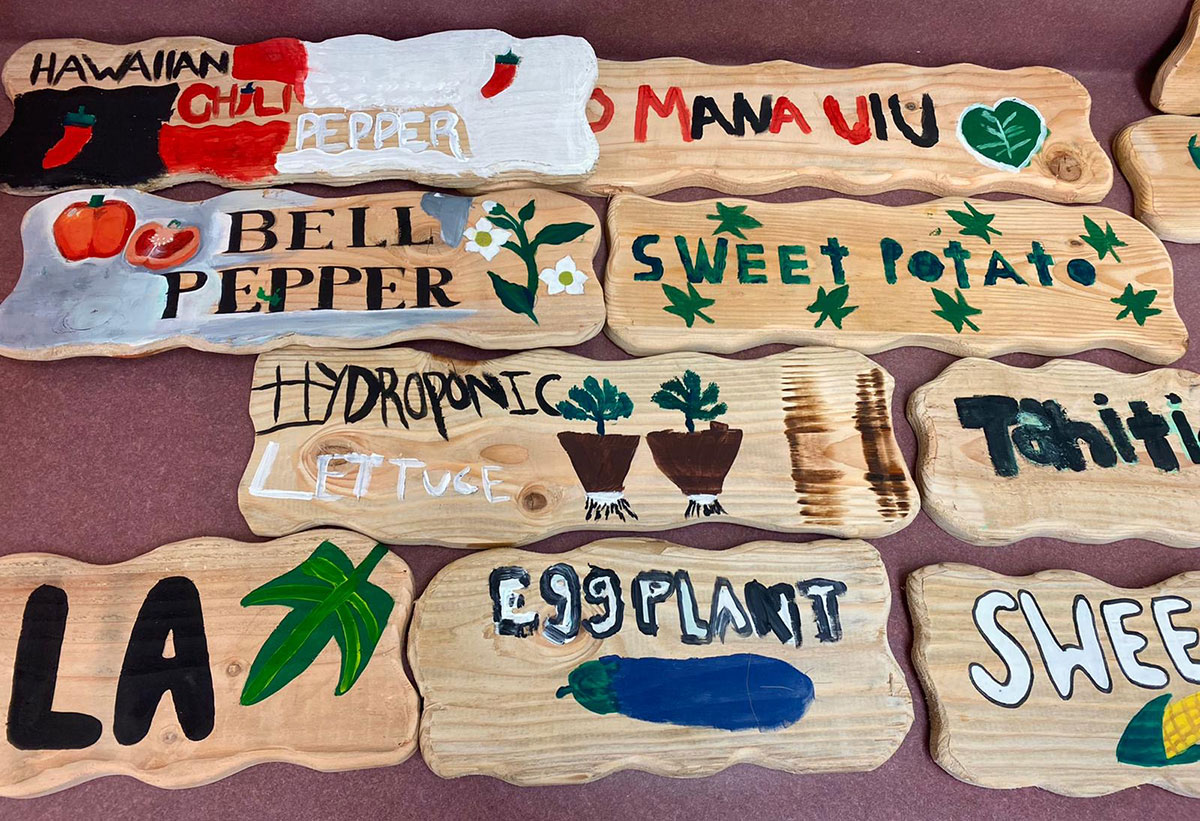 a variety of wooden garden signs colorfully painted with names of plants in different languages