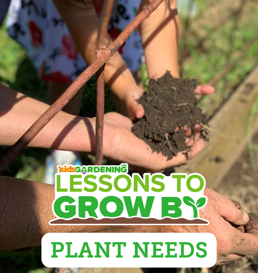 Lessons to Grow By: Plant Needs - KidsGardening