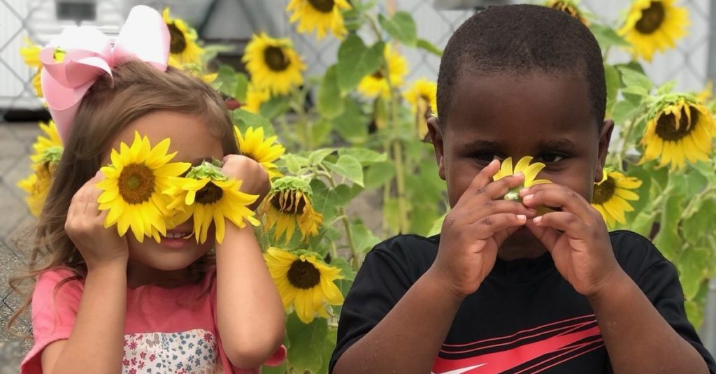 Two kids holding sunflowers up to their faces, one as eyes and one in front of their nose