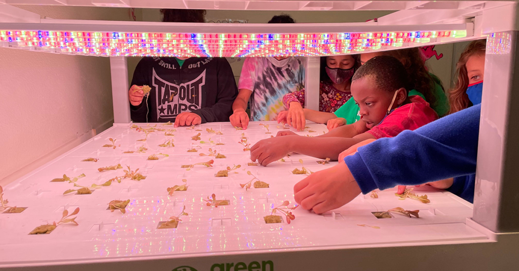 Hands of kids reaching into a hydroponics system