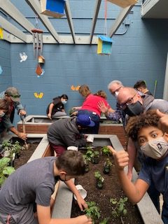 Kids and adults working in a raised bed garden