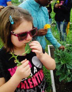 A child wearing sunglasses puts a green leaf in their mouth.